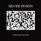 Book cover image, Silver Pinion